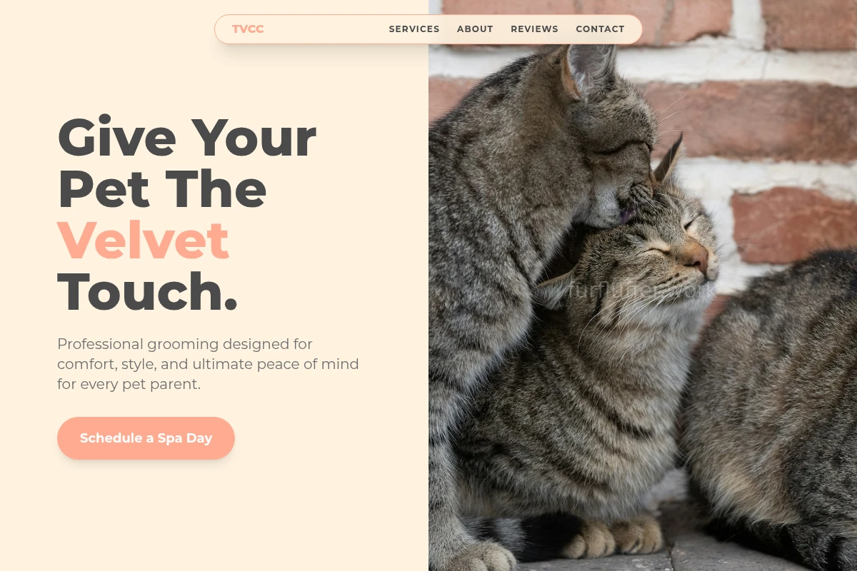 Groom Animal Care