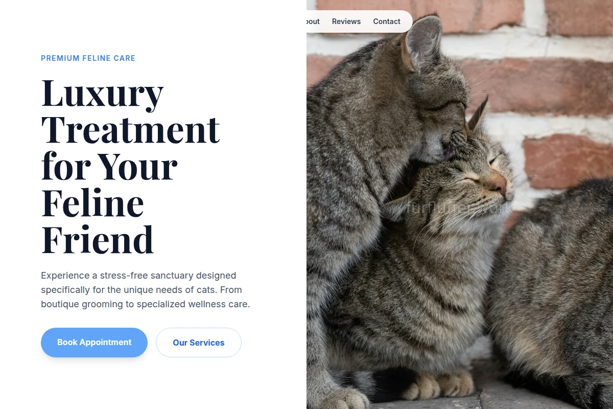 Feline Animal Care
