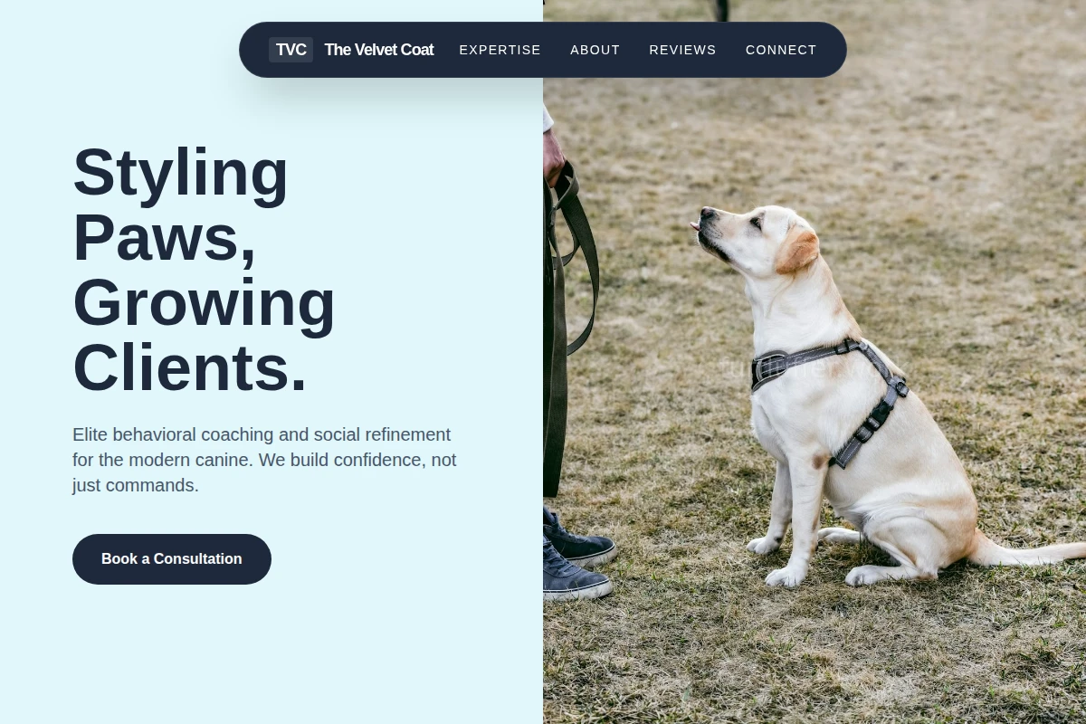 Bark Dog Training