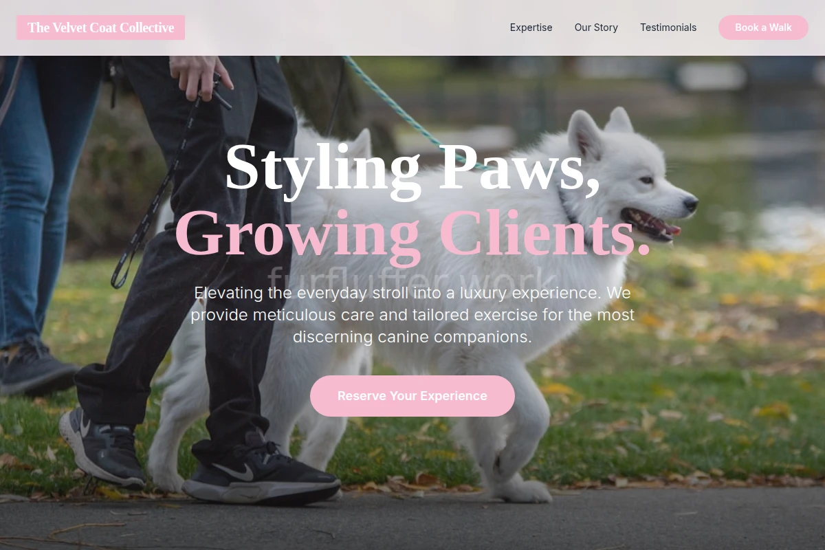 Shampoo Dog Walking