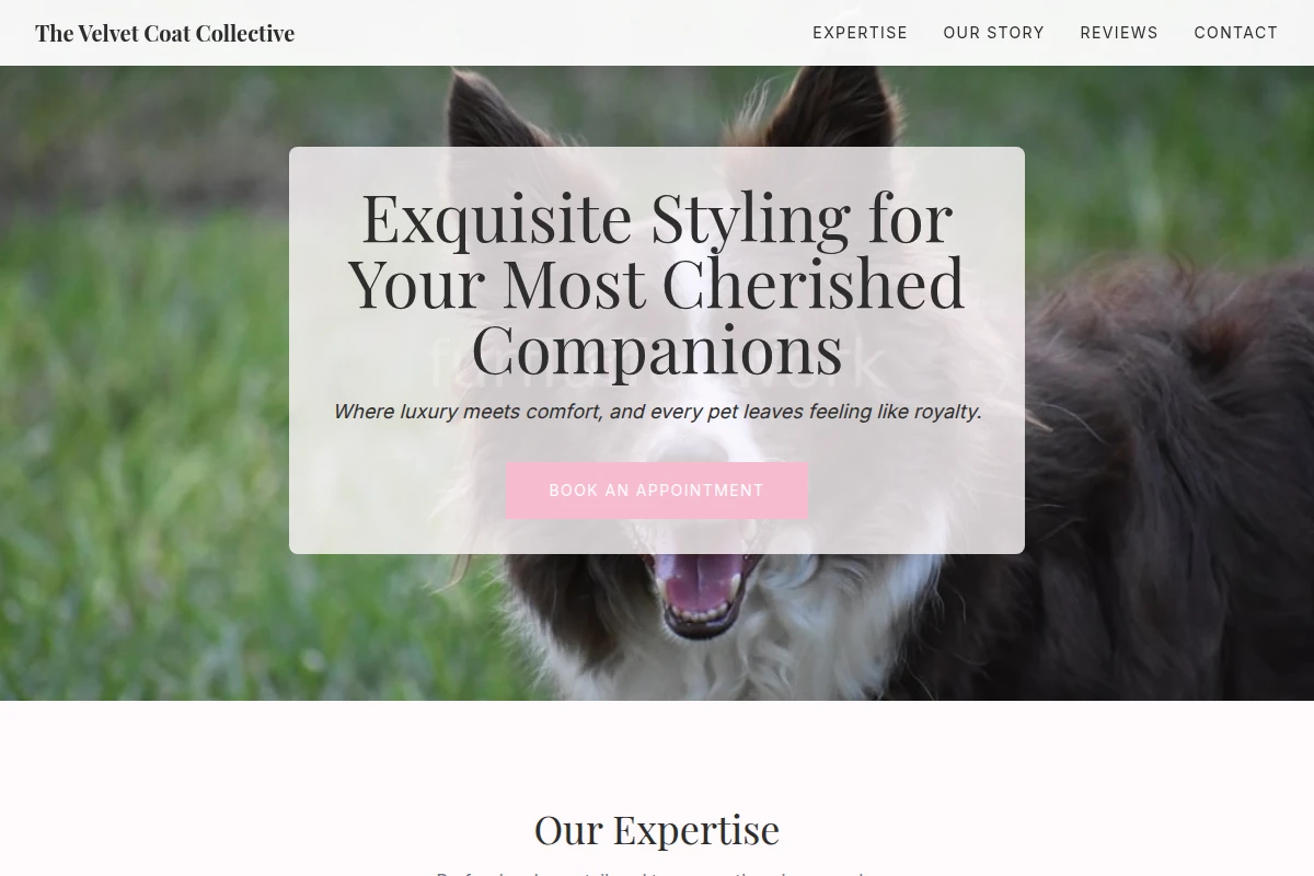Balm Pet Services
