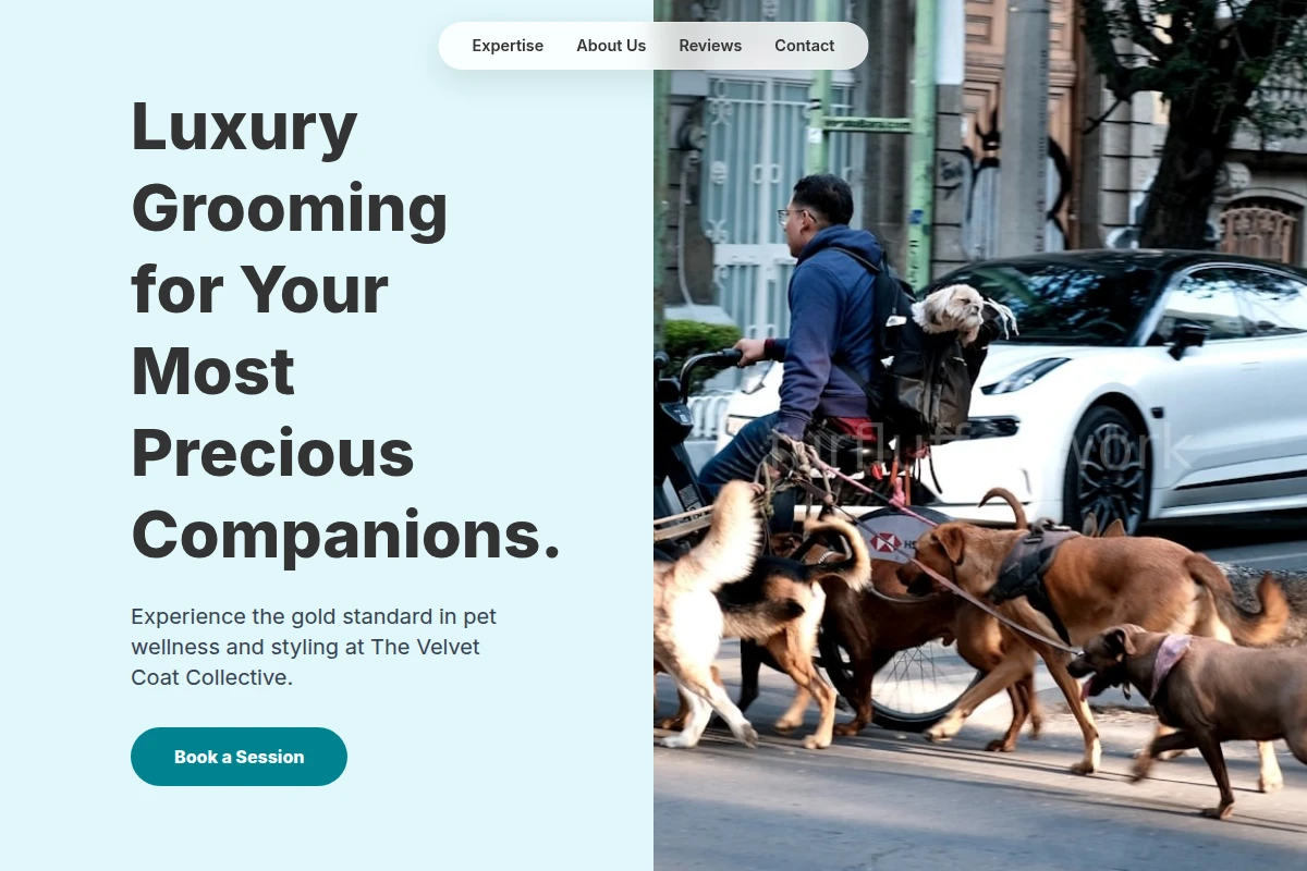 Treats Pet Services