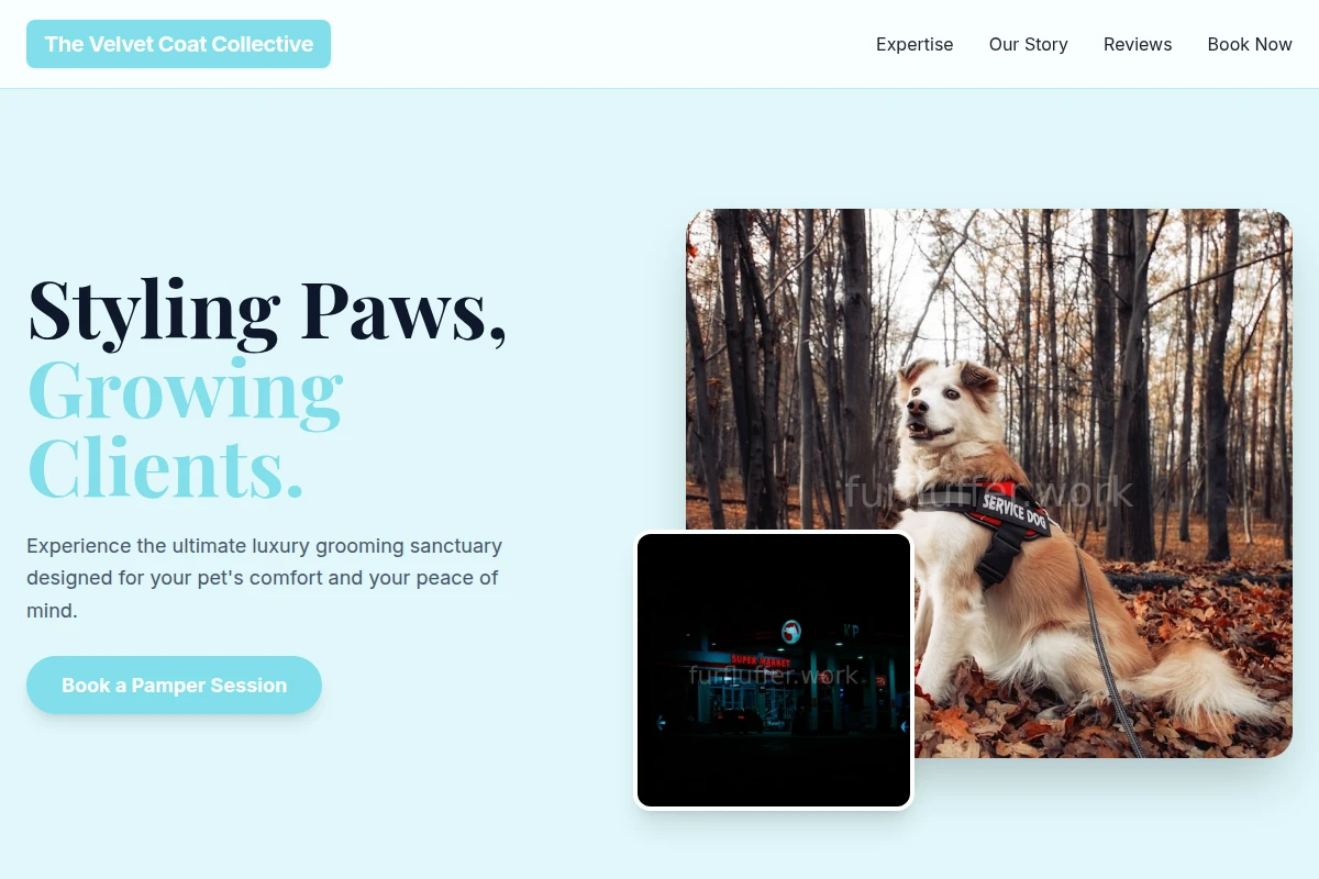 Mane Pet Services