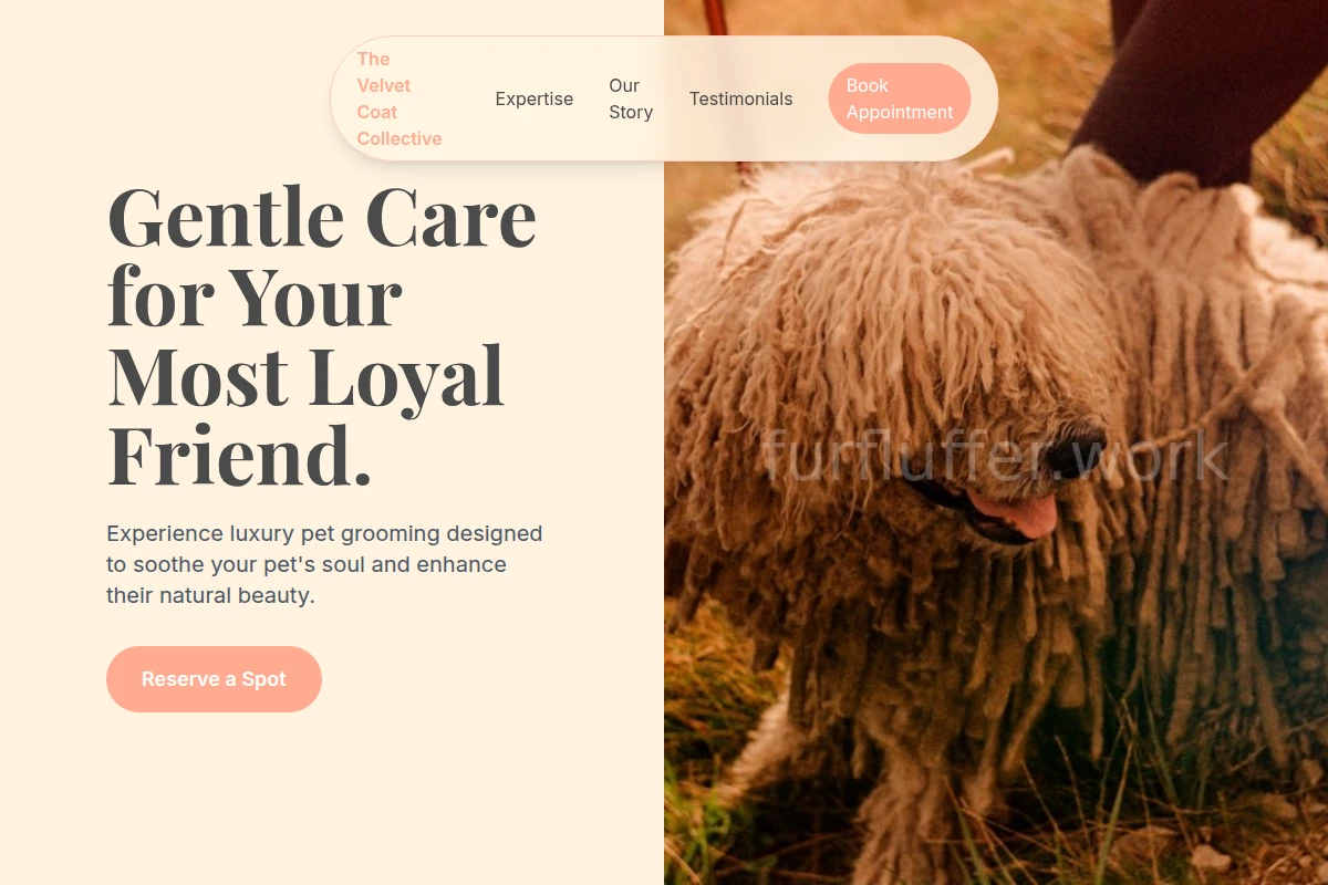 Grooming Pet Services